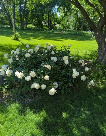 1712 89th Avenue N, Brooklyn Park, MN 55444