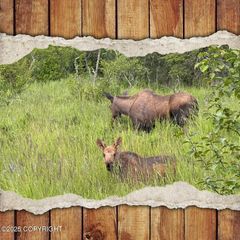 66307 Lothrop Pk Drive, Ninilchik, AK 99639
