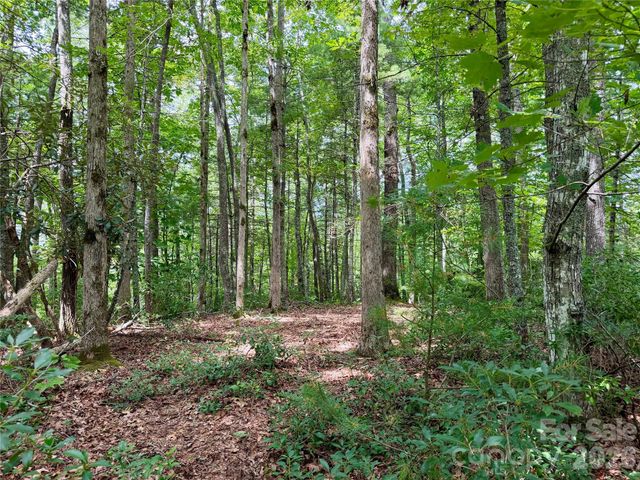 1156 Bear River Lodge Trail, Marshall, NC 28753