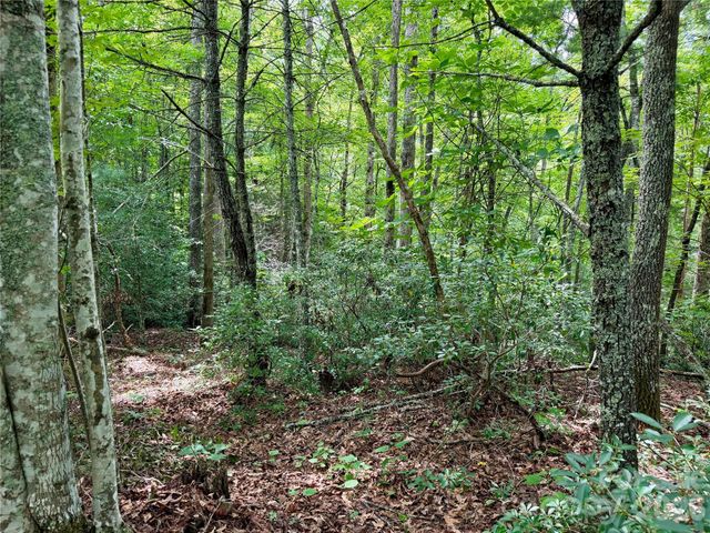 1156 Bear River Lodge Trail, Marshall, NC 28753