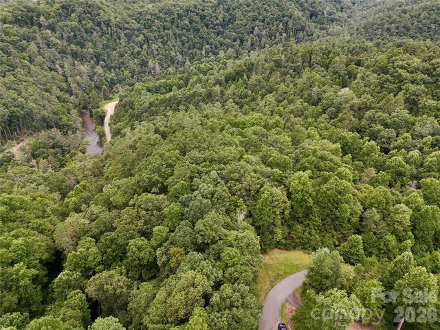 1156 Bear River Lodge Trail, Marshall, NC 28753