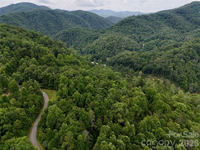1156 Bear River Lodge Trail, Marshall, NC 28753