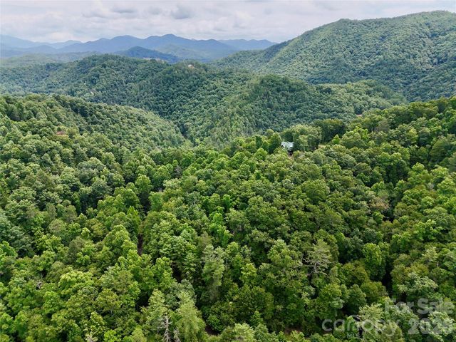 1156 Bear River Lodge Trail, Marshall, NC 28753