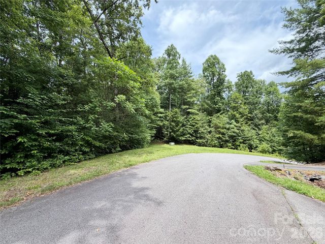 1156 Bear River Lodge Trail, Marshall, NC 28753