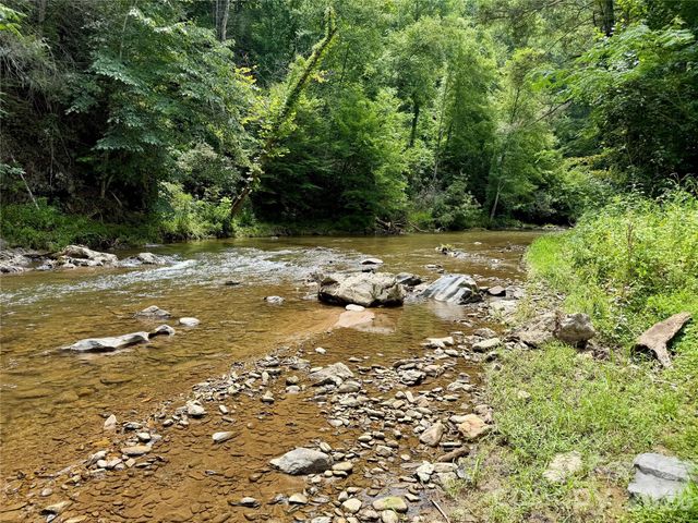 1156 Bear River Lodge Trail, Marshall, NC 28753