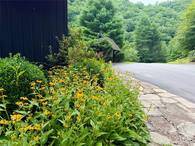 1156 Bear River Lodge Trail, Marshall, NC 28753