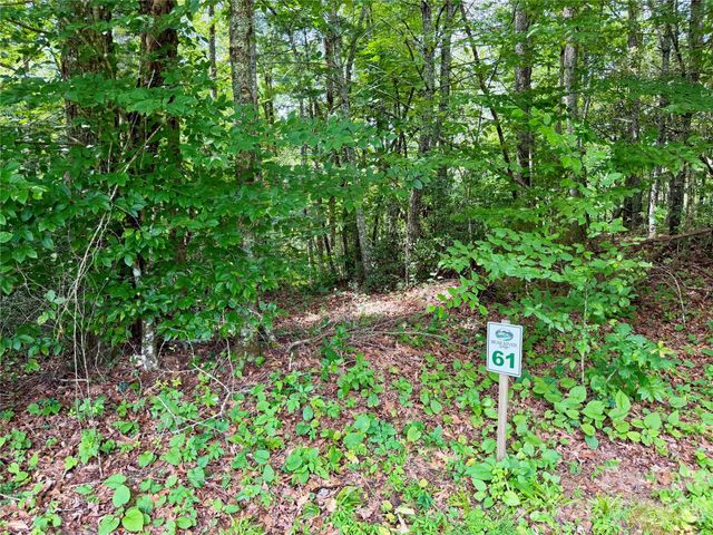 1156 Bear River Lodge Trail, Marshall, NC 28753