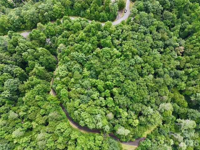 1156 Bear River Lodge Trail, Marshall, NC 28753
