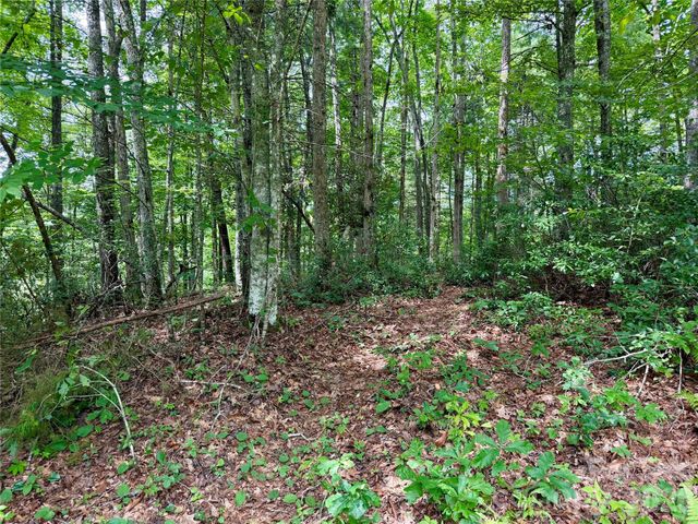 1156 Bear River Lodge Trail, Marshall, NC 28753