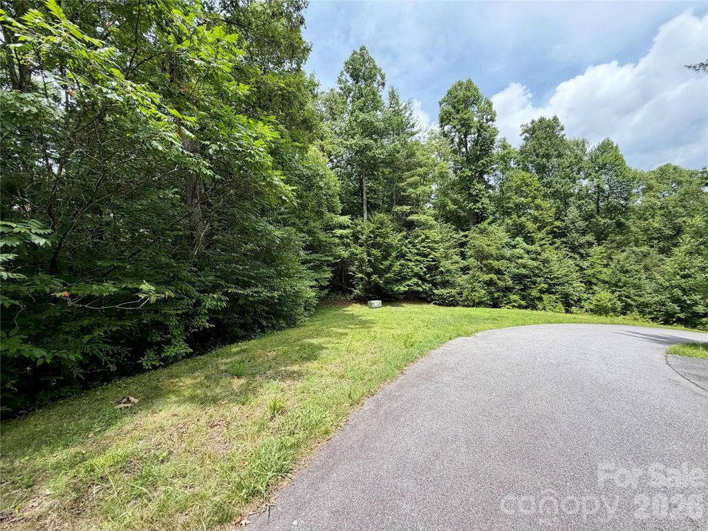 1156 Bear River Lodge Trail, Marshall, NC 28753