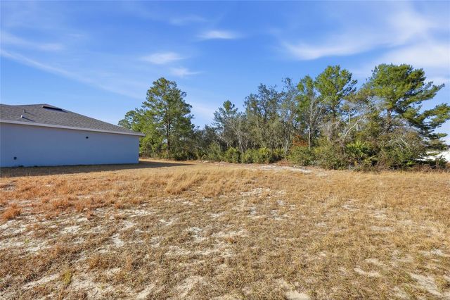 133 VIOLET COURT, Kissimmee, FL 34759