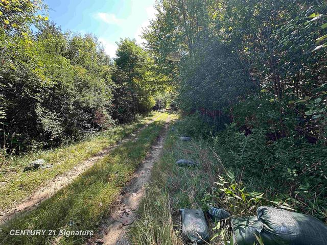 7163 Wilson Road, Montrose, MI 48457