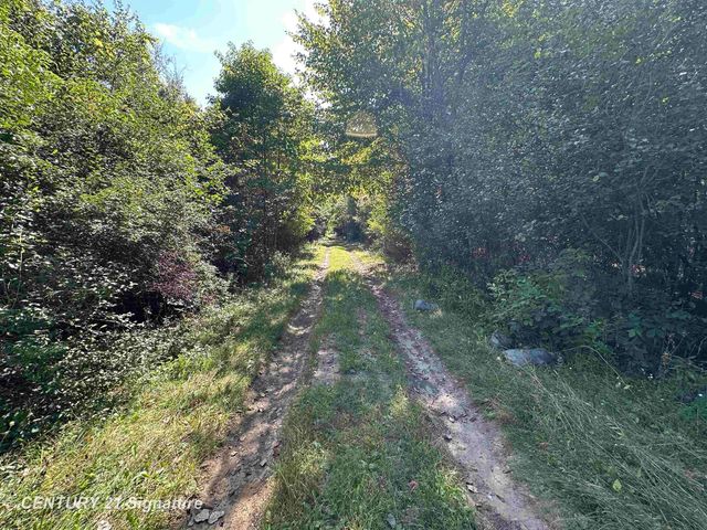7163 Wilson Road, Montrose, MI 48457