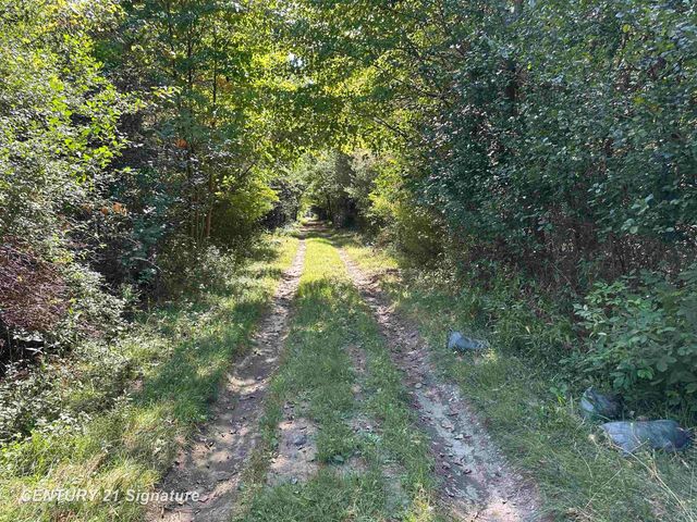 7163 Wilson Road, Montrose, MI 48457