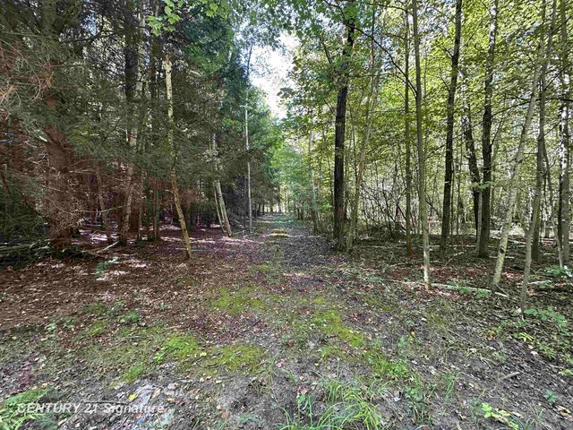 7163 Wilson Road, Montrose, MI 48457