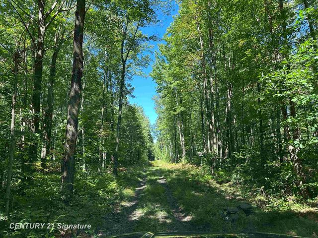 7163 Wilson Road, Montrose, MI 48457