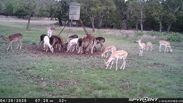 419 Yellowstone Lane, Hunt, TX 78024