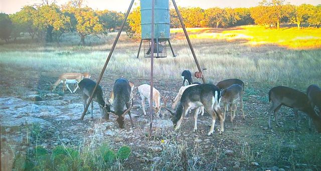 419 Yellowstone Lane, Hunt, TX 78024