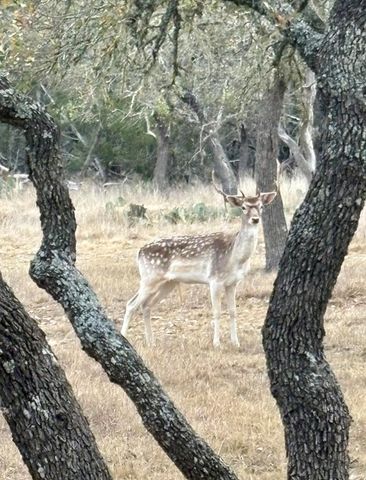 419 Yellowstone Lane, Hunt, TX 78024