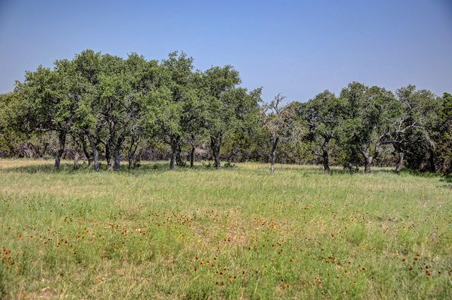 419 Yellowstone Lane, Hunt, TX 78024