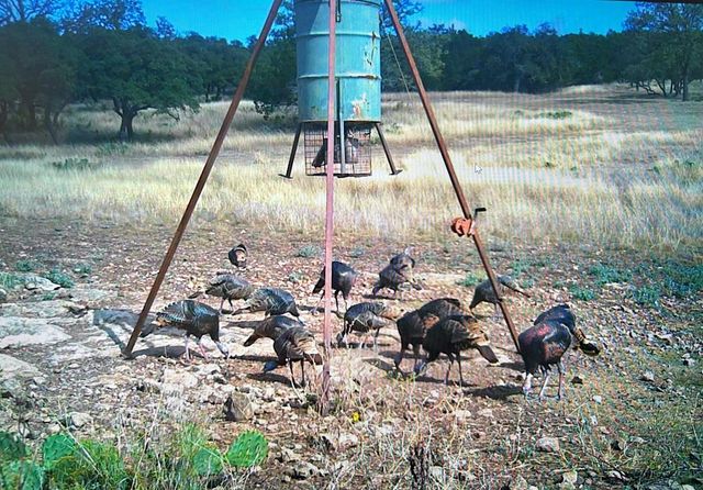 419 Yellowstone Lane, Hunt, TX 78024