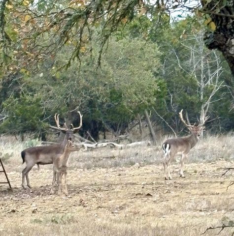 419 Yellowstone Lane, Hunt, TX 78024