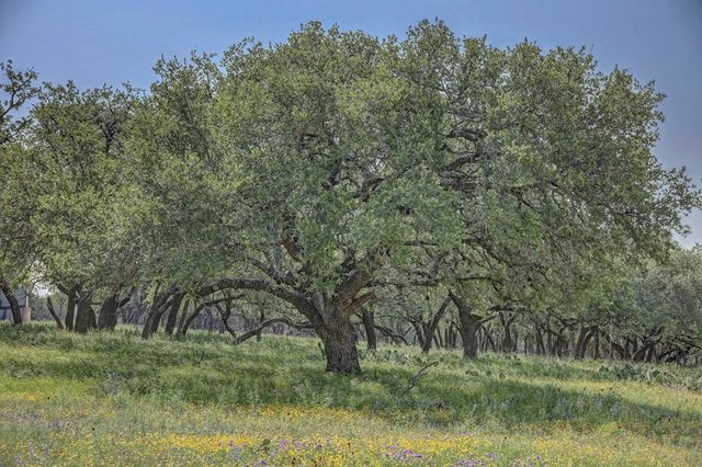 419 Yellowstone Lane, Hunt, TX 78024