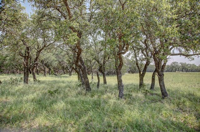 419 Yellowstone Lane, Hunt, TX 78024