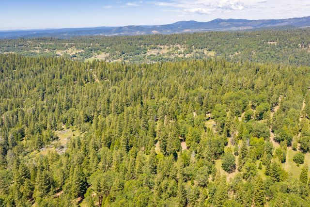 6420 Starkes Grade Rd, Pollock Pines, CA 95726