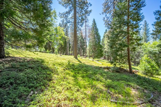6420 Starkes Grade Rd, Pollock Pines, CA 95726