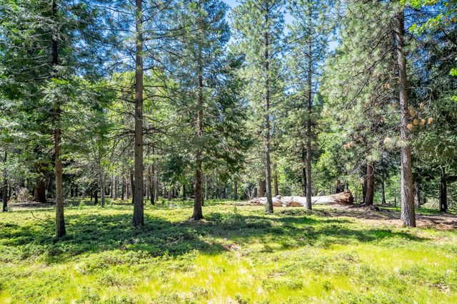 6420 Starkes Grade Rd, Pollock Pines, CA 95726
