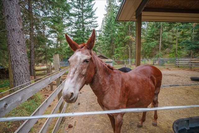 22915 E Morris Rd, Newman Lake, WA 99025