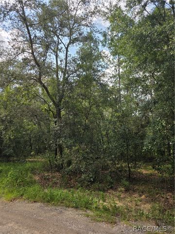 3211 E Millside Lane, Inverness, FL 34453