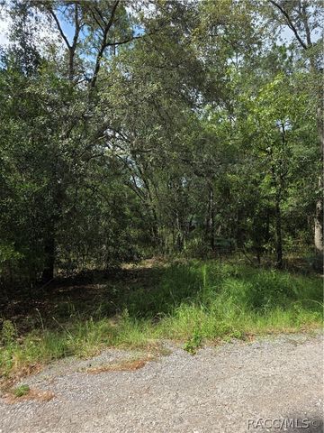 3211 E Millside Lane, Inverness, FL 34453