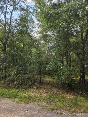 3211 E Millside Lane, Inverness, FL 34453