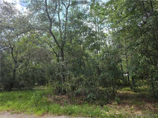 3211 E Millside Lane, Inverness, FL 34453