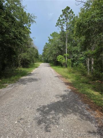 3211 E Millside Lane, Inverness, FL 34453