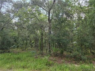 3211 E Millside Lane, Inverness, FL 34453