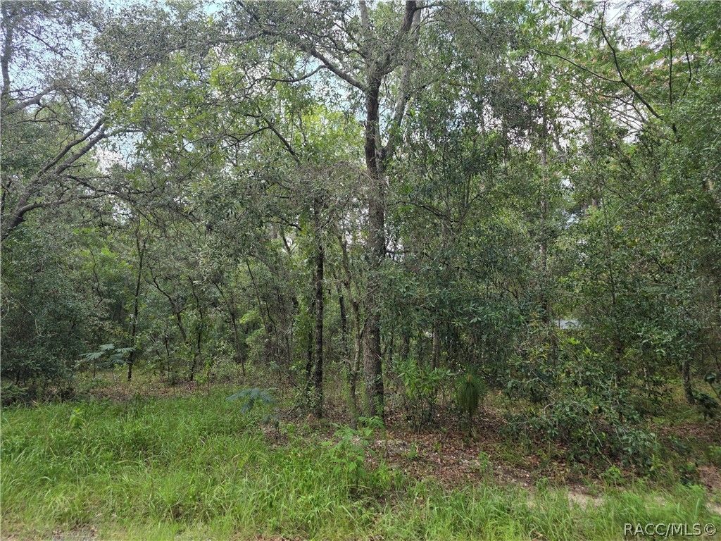 3211 E Millside Lane, Inverness, FL 34453
