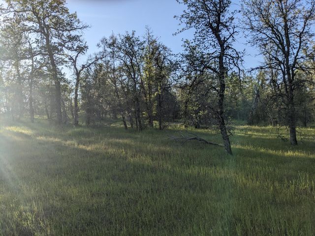 Lot 8 Neal Lane, Redding, CA 96003