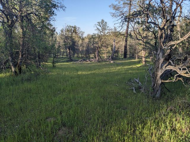 Lot 8 Neal Lane, Redding, CA 96003