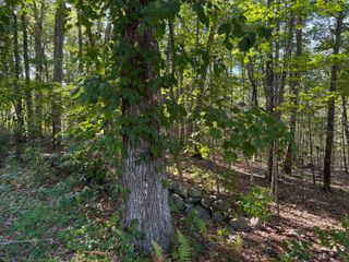 301 Montauk Avenue, Stonington, CT 06378