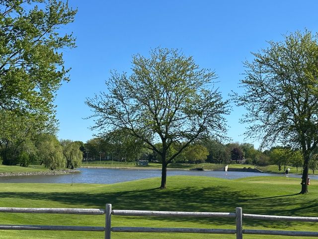 909 E Kenilworth Avenue 420, Palatine, IL 60074