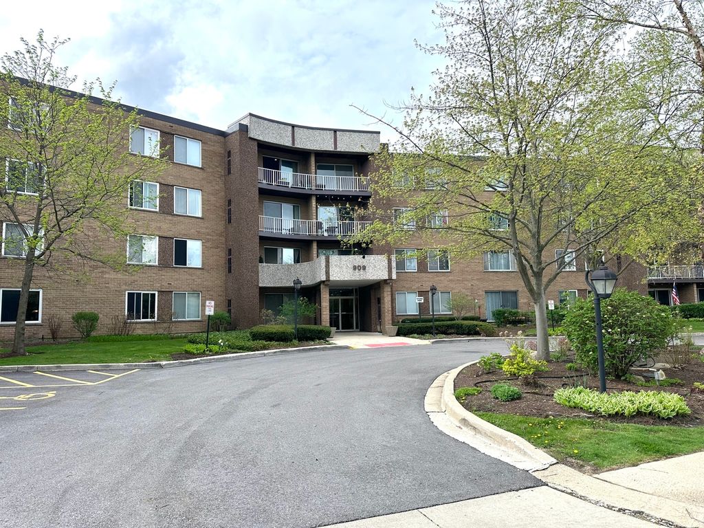 909 E Kenilworth Avenue 420, Palatine, IL 60074