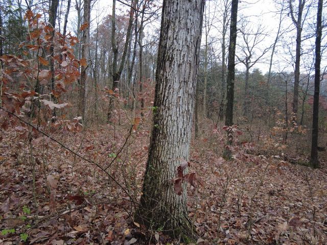 135 Union Hill Road, Franklin Twp, OH 45660