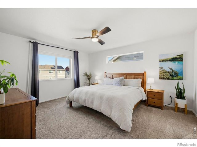 1662 Thrive Drive, Windsor, CO 80550