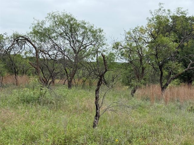 Lot 237 Vista Pointe Drive, Chico, TX 76431
