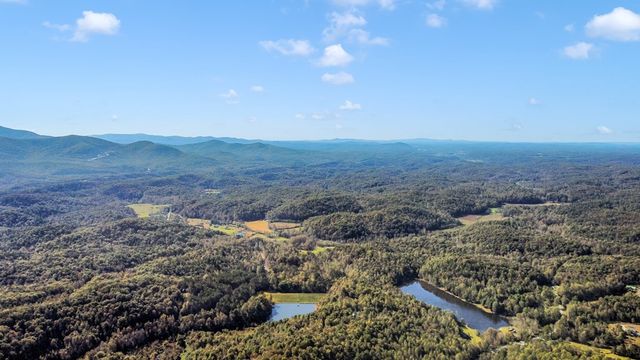 55 Mount Pleasant Drive, Ellijay, GA 30540