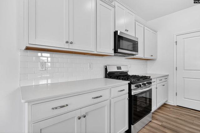 798 Ben Gunn Run, Gilbert, SC 29054