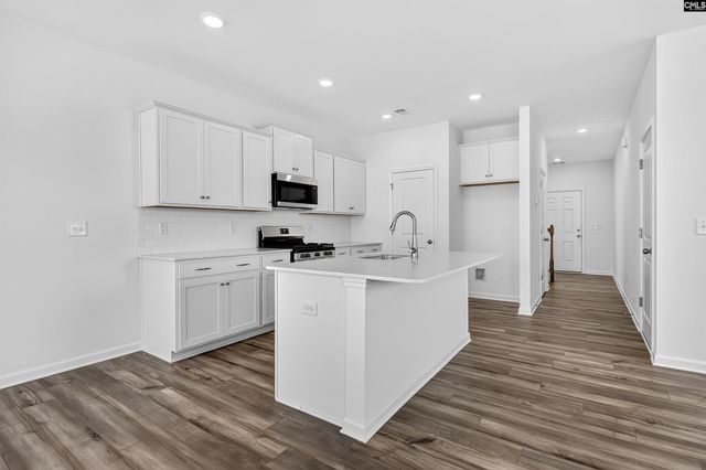 798 Ben Gunn Run, Gilbert, SC 29054